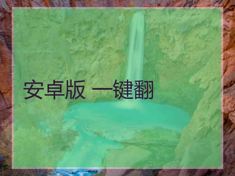 安卓版 一键翻