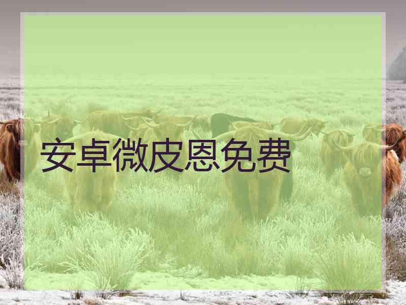 安卓微皮恩免费