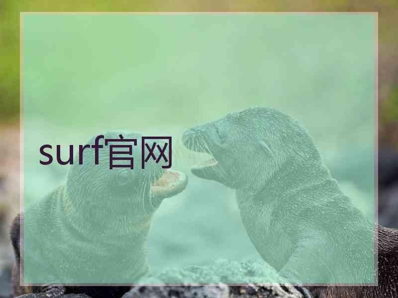 surf官网