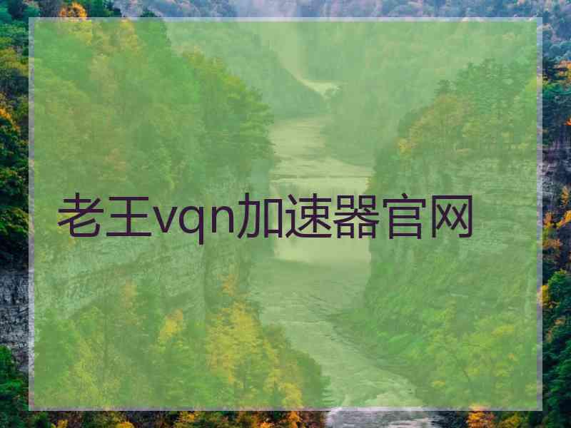 老王vqn加速器官网