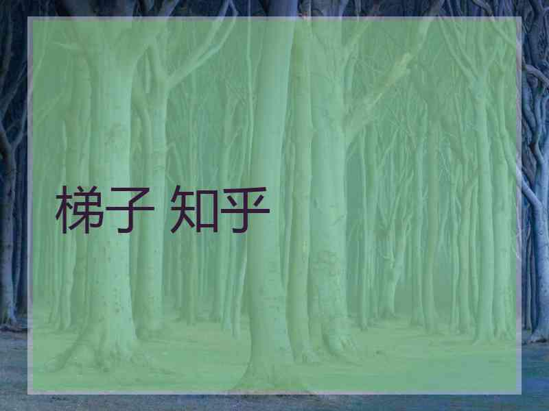 梯子 知乎