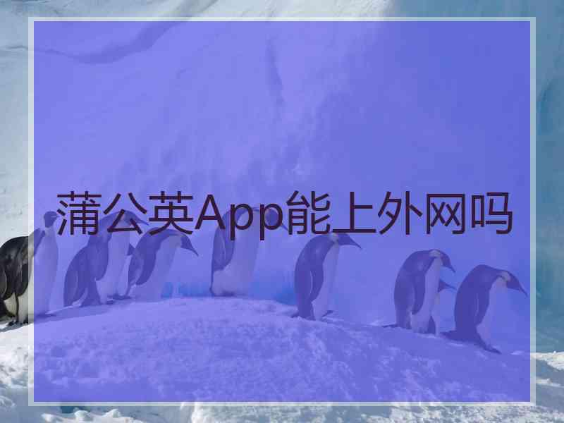 蒲公英App能上外网吗