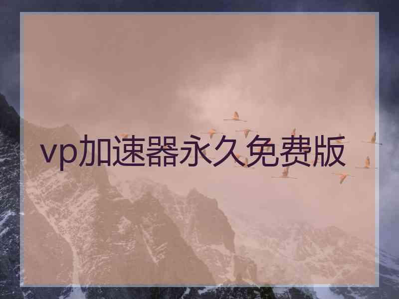vp加速器永久免费版