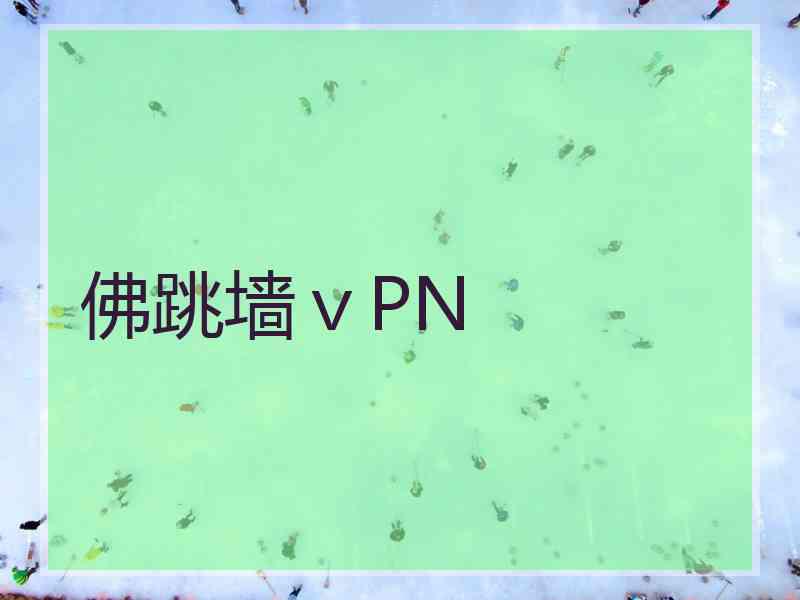 佛跳墙ⅴPN