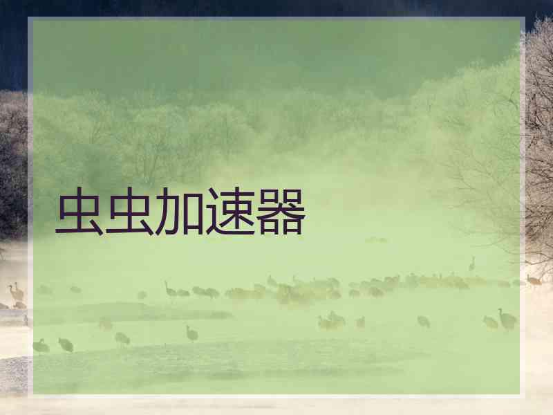 虫虫加速器