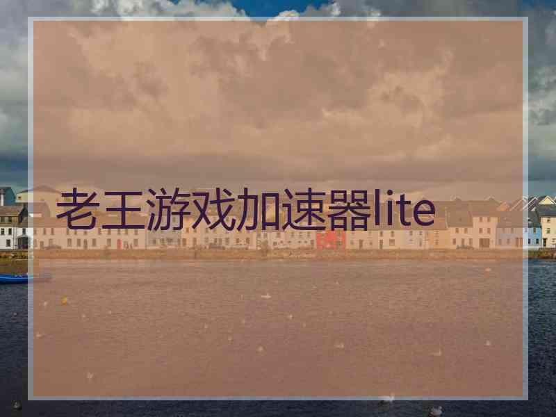 老王游戏加速器lite