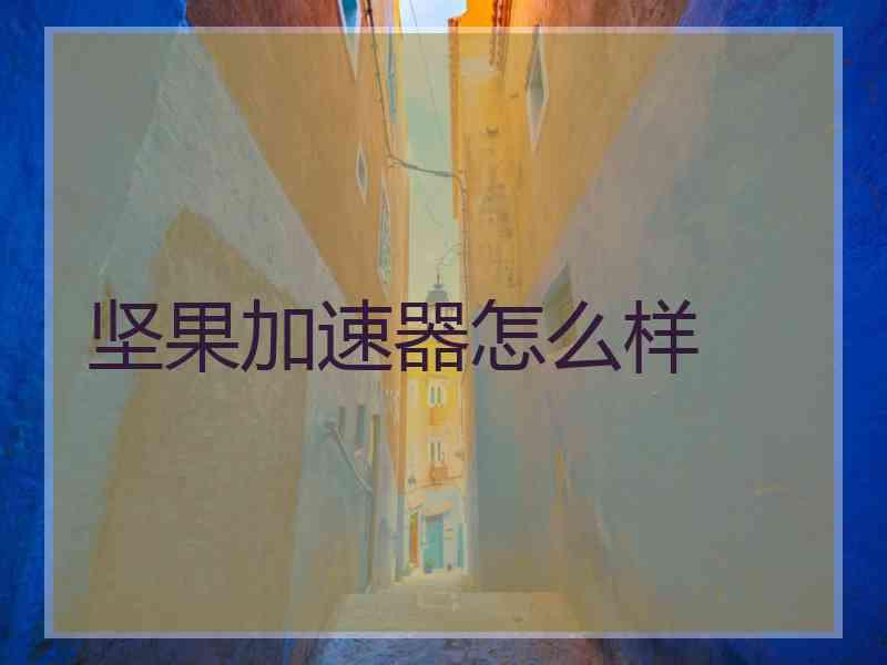 坚果加速器怎么样