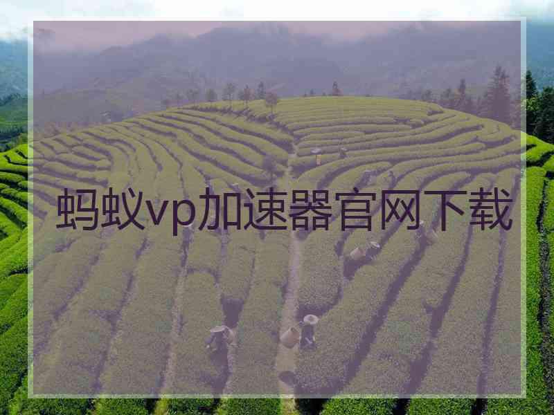 蚂蚁vp加速器官网下载