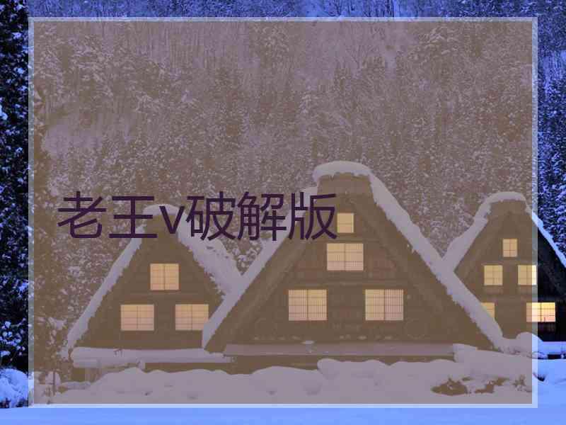 老王v破解版