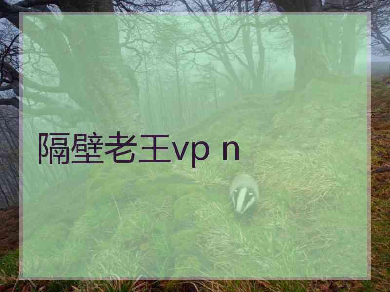 隔壁老王vp n
