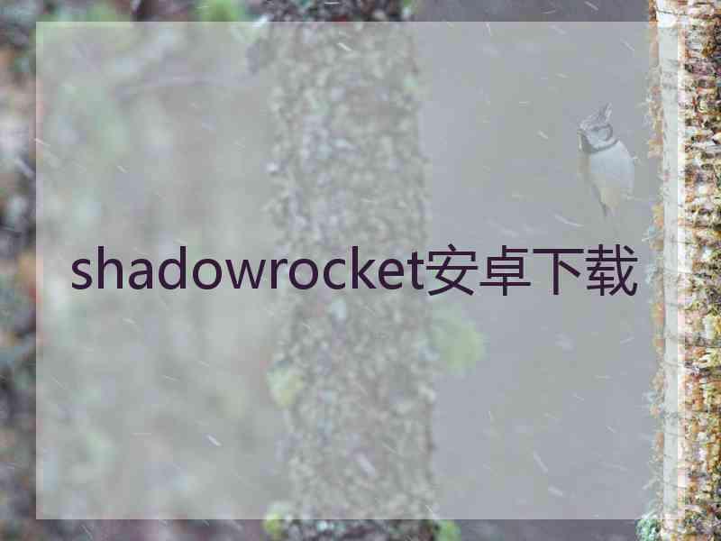 shadowrocket安卓下载