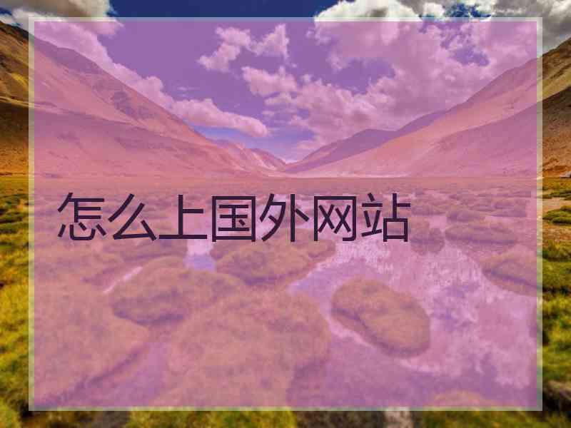 怎么上国外网站