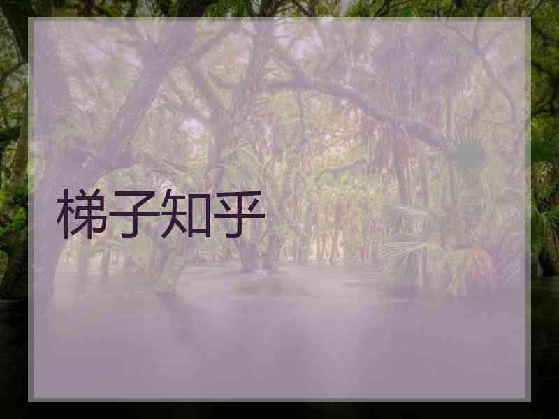 梯子知乎
