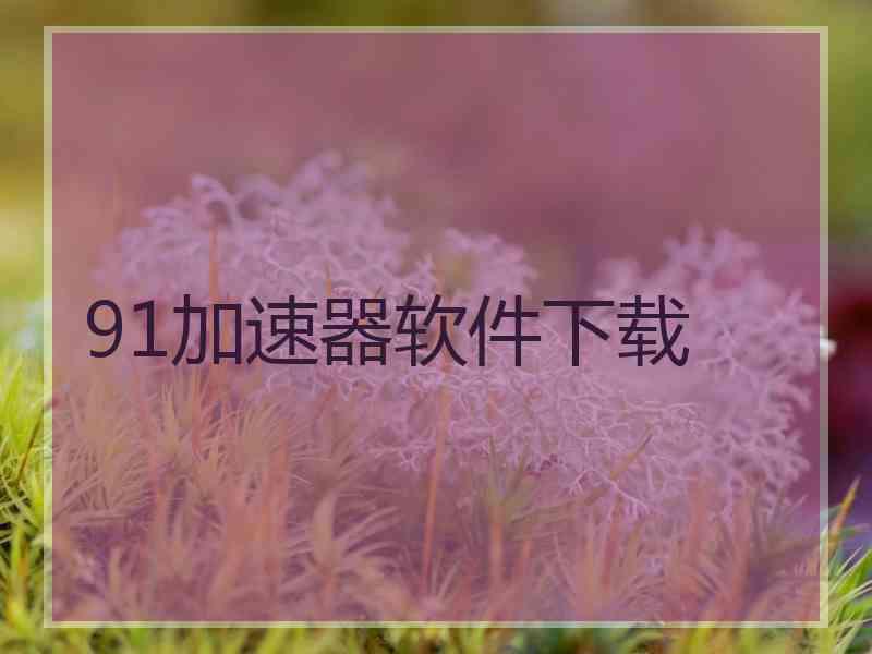 91加速器软件下载