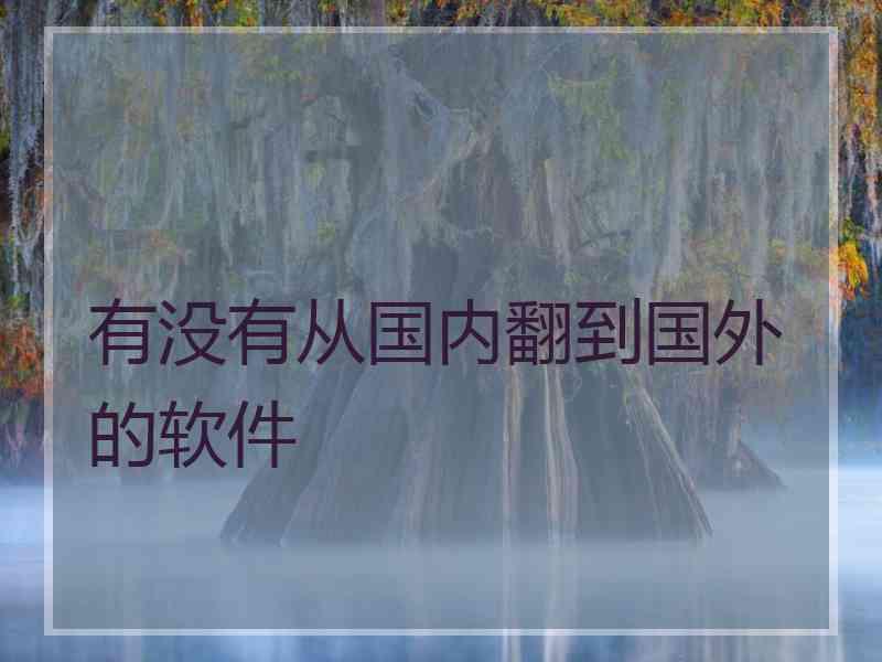 有没有从国内翻到国外的软件