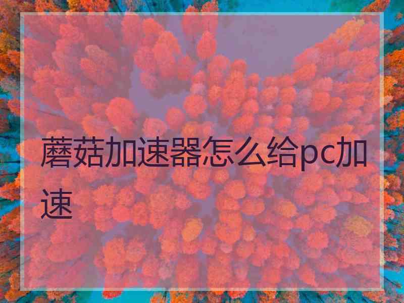 蘑菇加速器怎么给pc加速