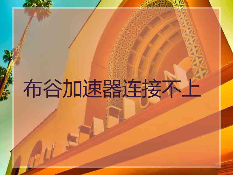 布谷加速器连接不上