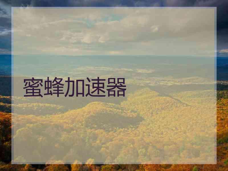 蜜蜂加速器