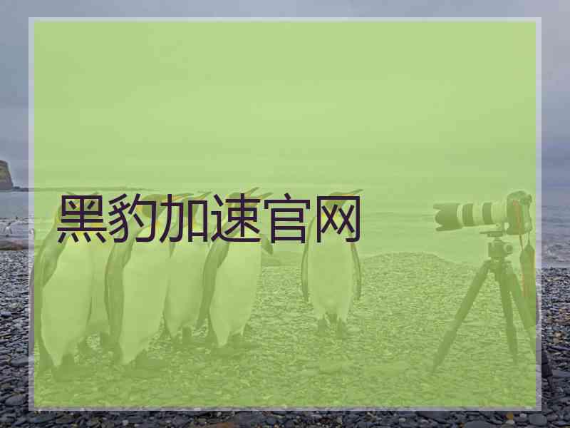 黑豹加速官网