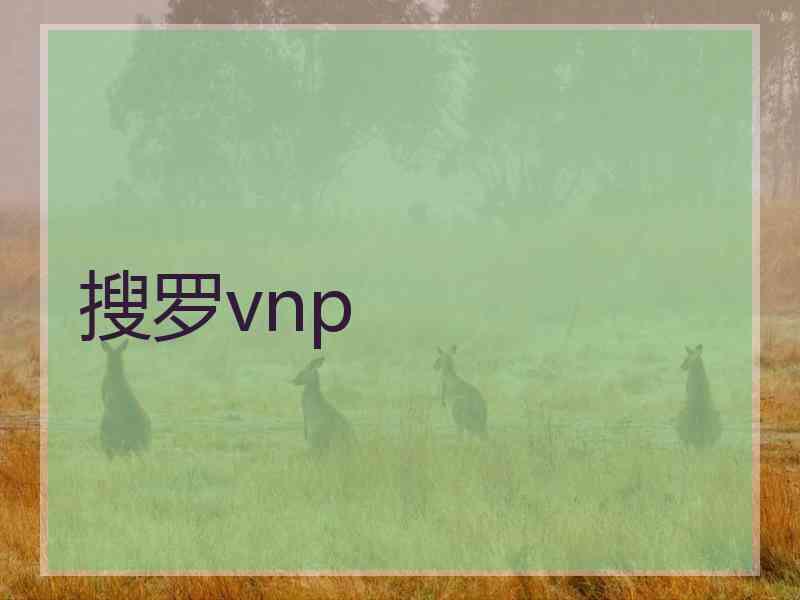 搜罗vnp