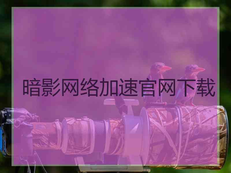 暗影网络加速官网下载