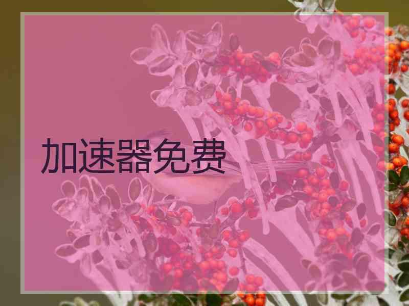 加速器免费