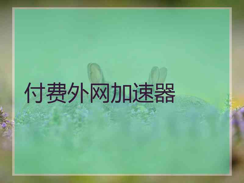 付费外网加速器
