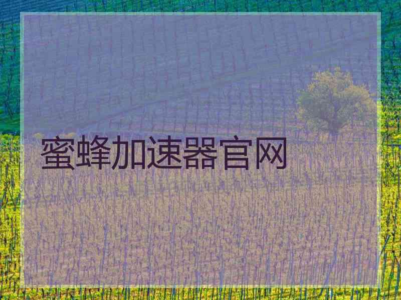 蜜蜂加速器官网