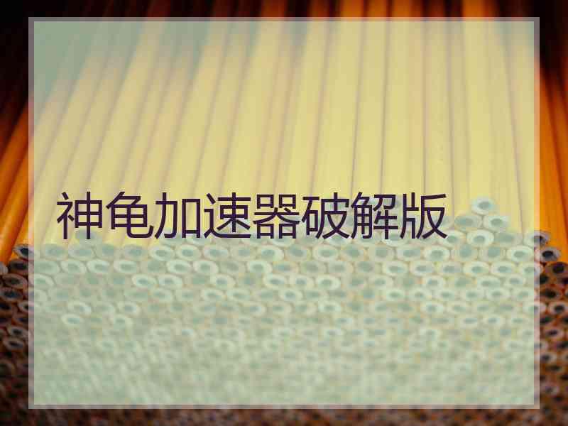 神龟加速器破解版