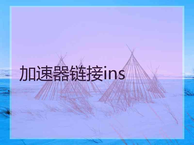 加速器链接ins