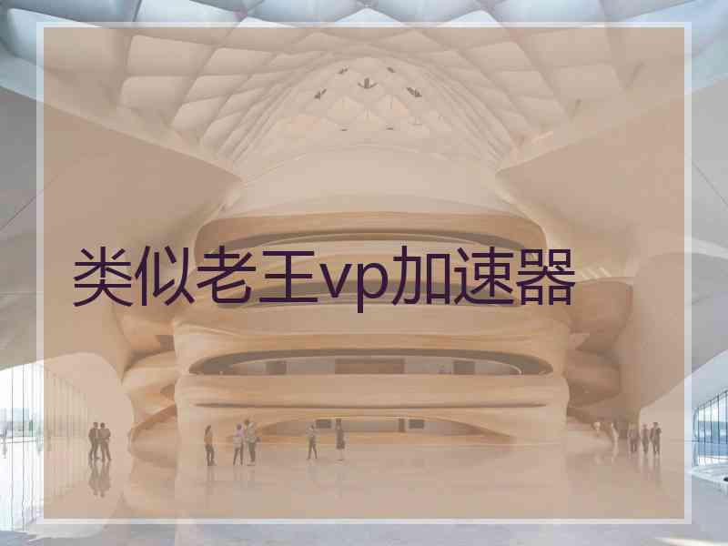 类似老王vp加速器