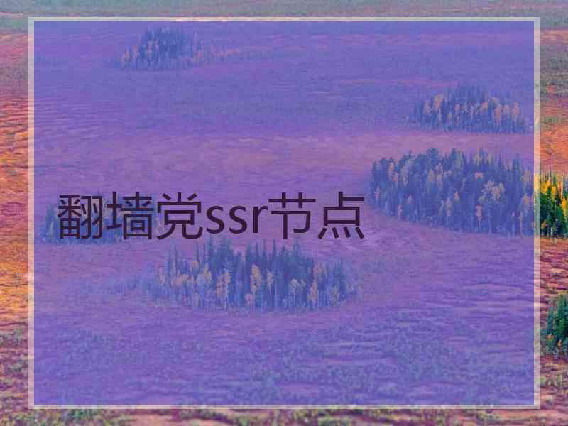 翻墙党ssr节点
