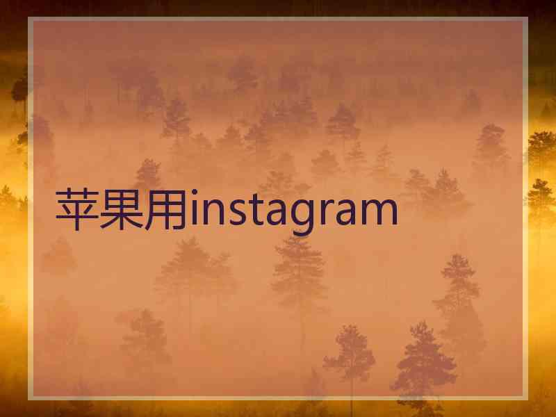 苹果用instagram