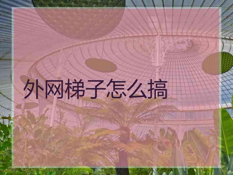 外网梯子怎么搞