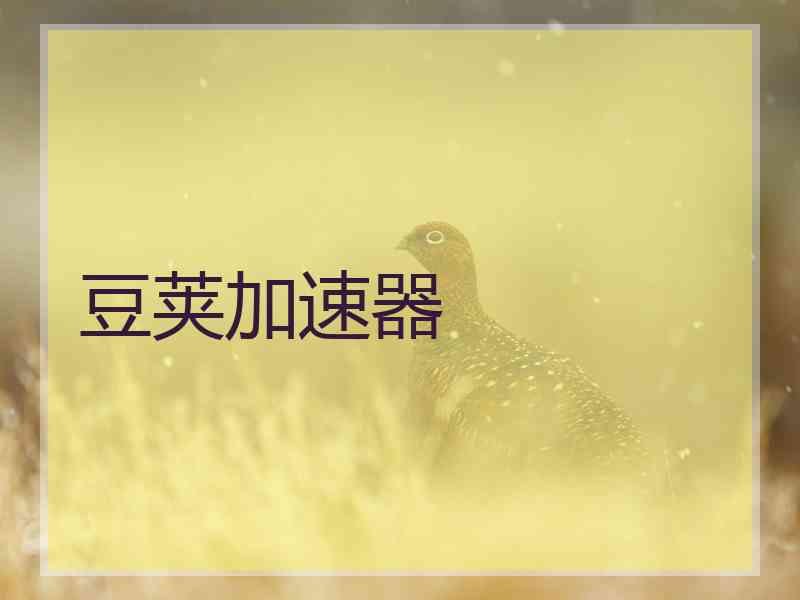 豆荚加速器