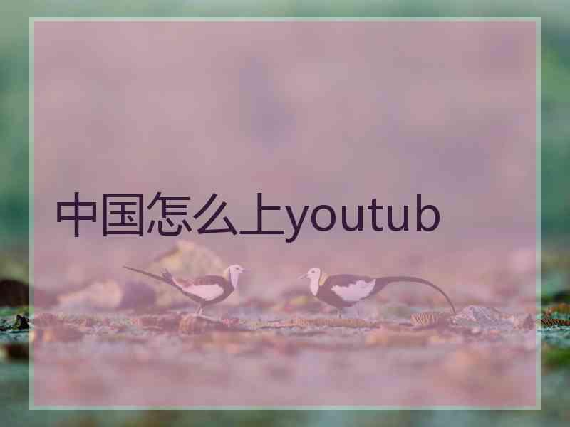 中国怎么上youtub