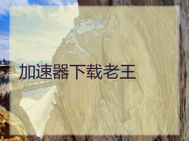 加速器下载老王