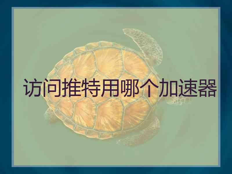 访问推特用哪个加速器