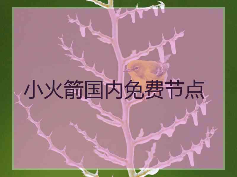 小火箭国内免费节点