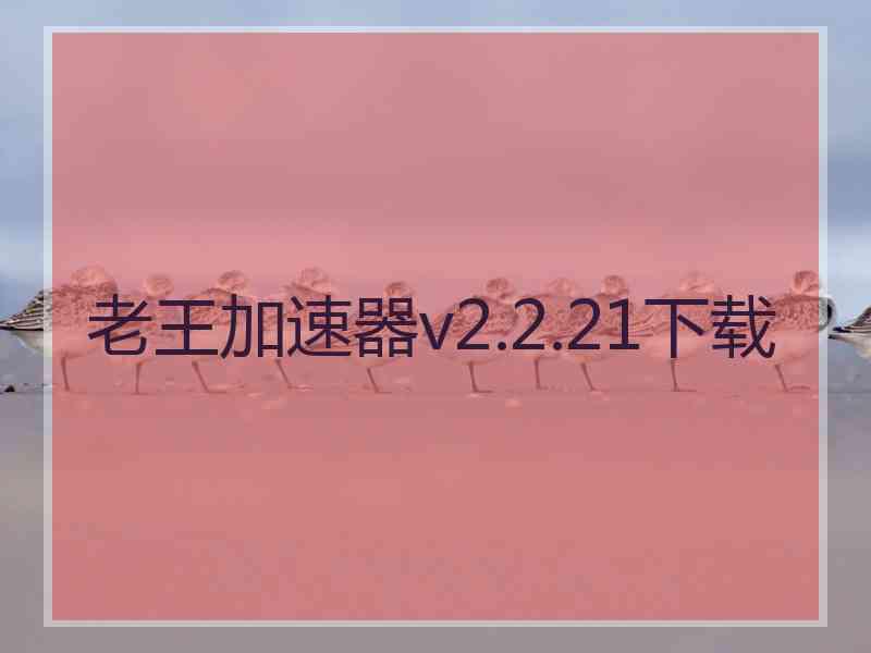 老王加速器v2.2.21下载