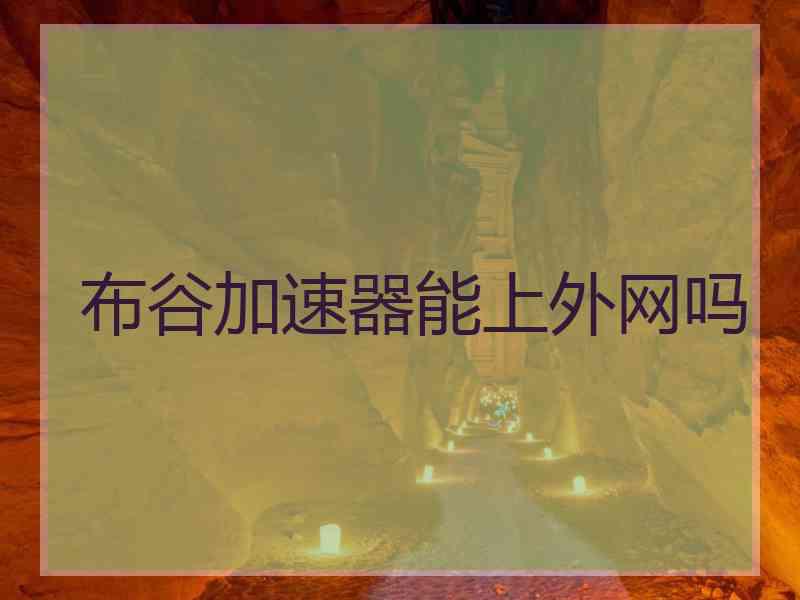 布谷加速器能上外网吗