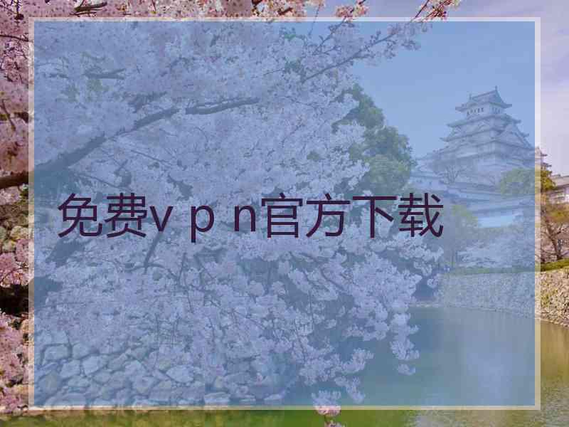 免费v p n官方下载