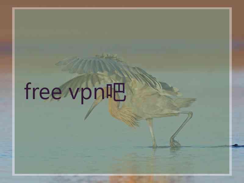 free vpn吧