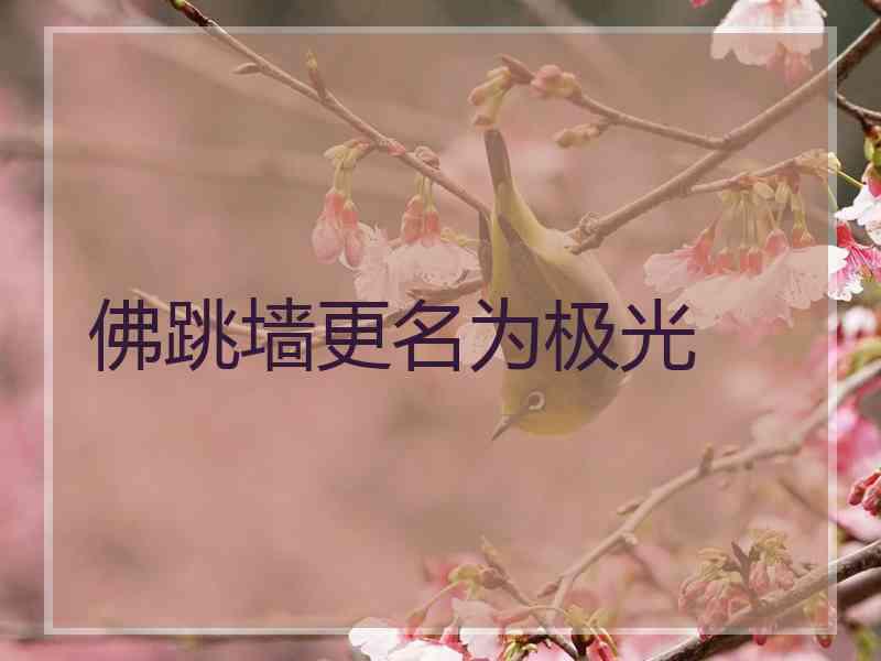 佛跳墙更名为极光