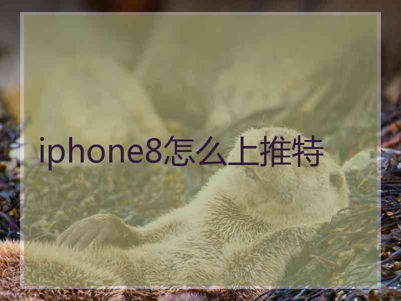 iphone8怎么上推特