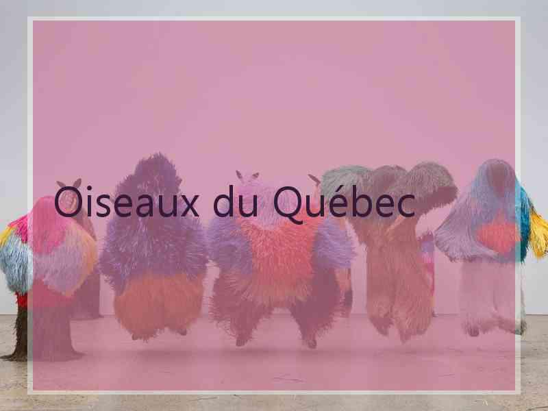 Oiseaux du Québec