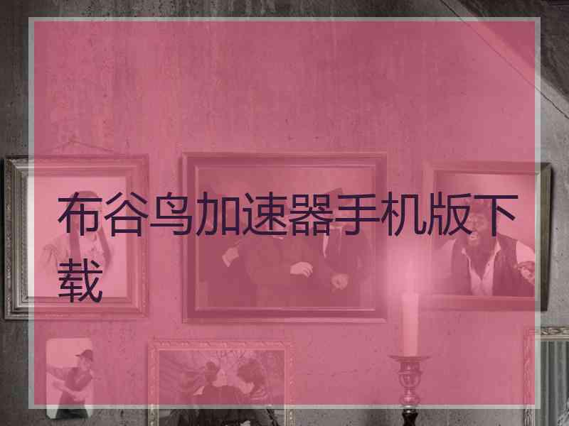布谷鸟加速器手机版下载