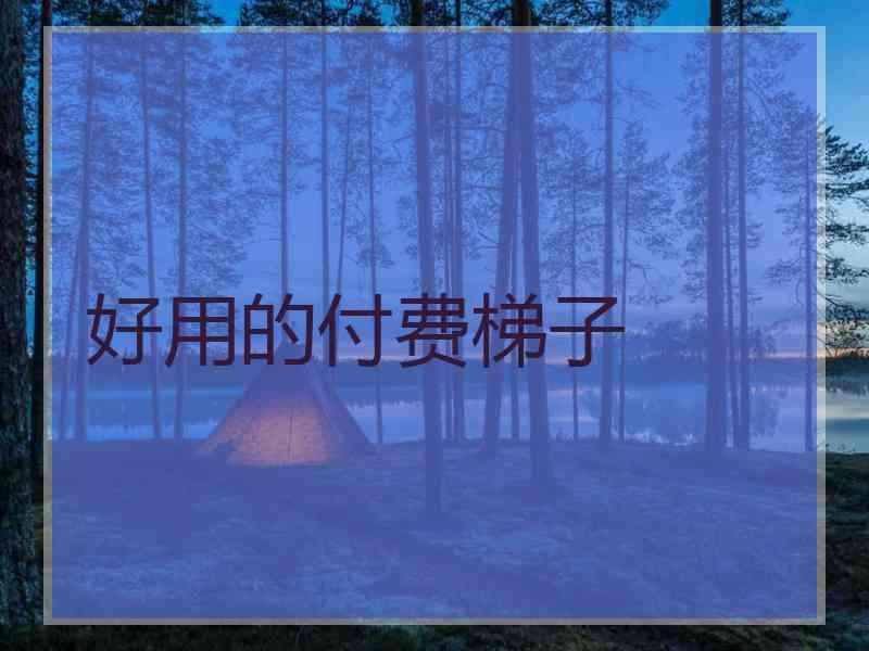好用的付费梯子