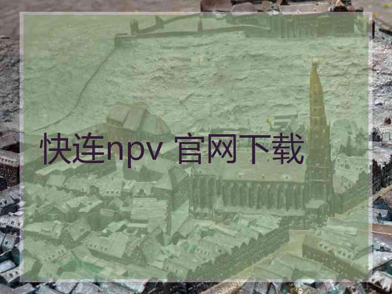 快连npv 官网下载