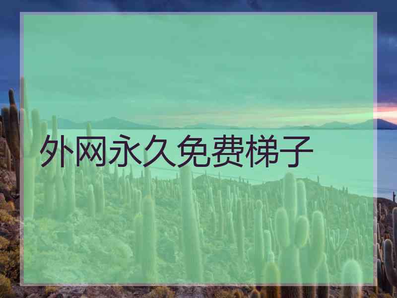 外网永久免费梯子